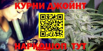 индика Моздок